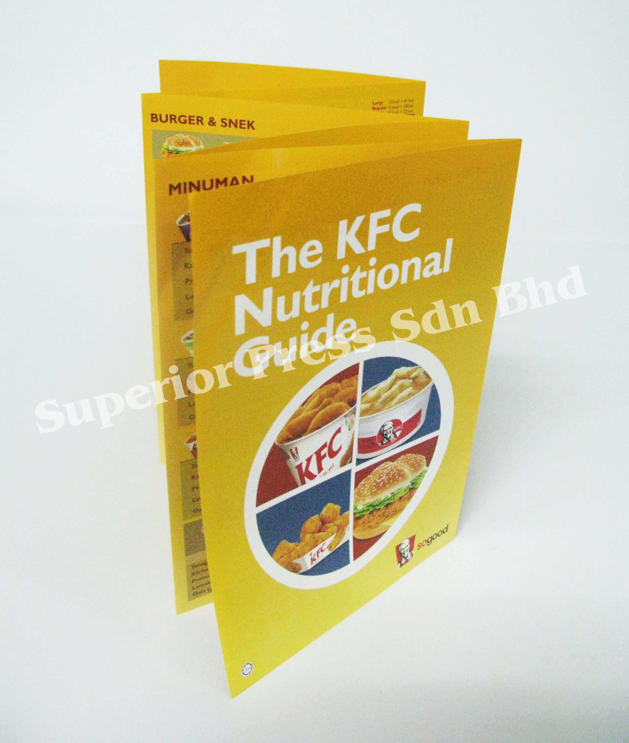 L816303Leafletwith6panel611201315001PM_O